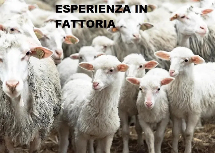 Il Pittore Panzió Borgo San Lorenzo