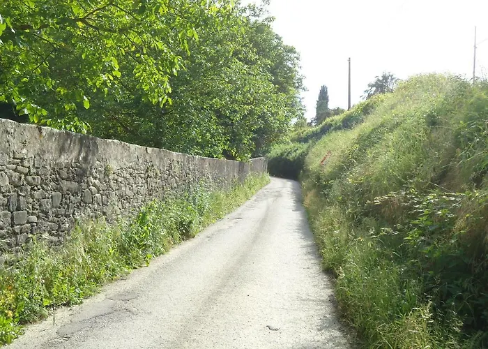 Il Pittore Borgo San Lorenzo