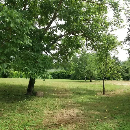 Il Pittore Borgo San Lorenzo