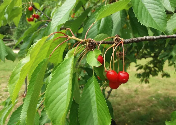 Il Pittore Bed and breakfast Borgo San Lorenzo
