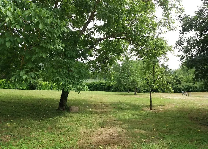 Il Pittore Borgo San Lorenzo